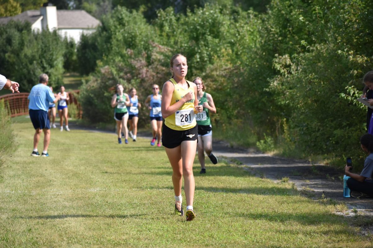 Girls cross country preview