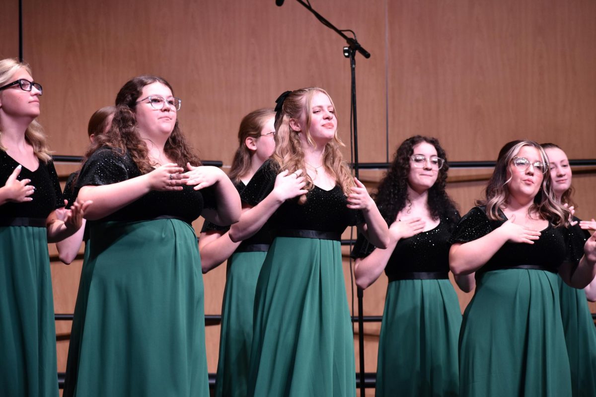 Folk and world choir concert reflection