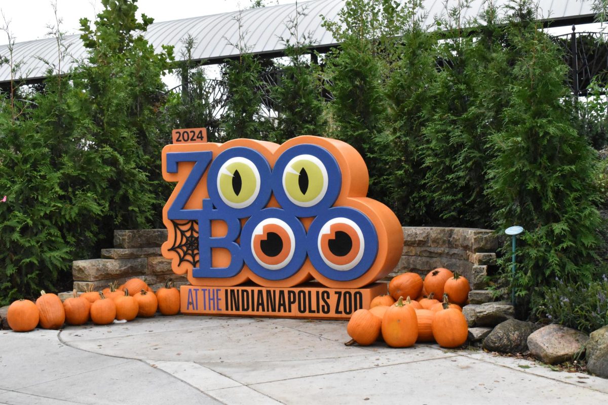 Indianapolis Zoo Boo great for kids