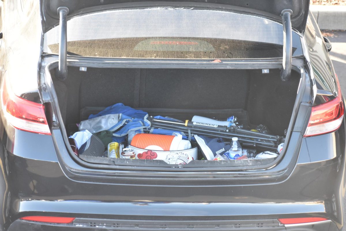 What's in your trunk?