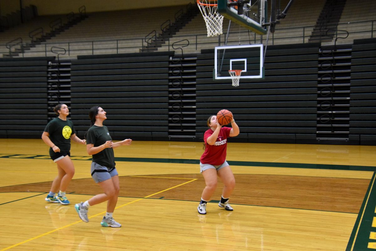 Girls basketball preview