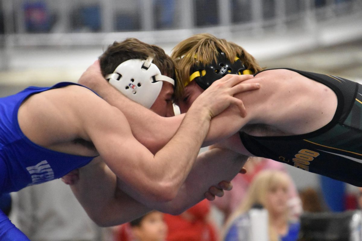 Boys sectional wrestling