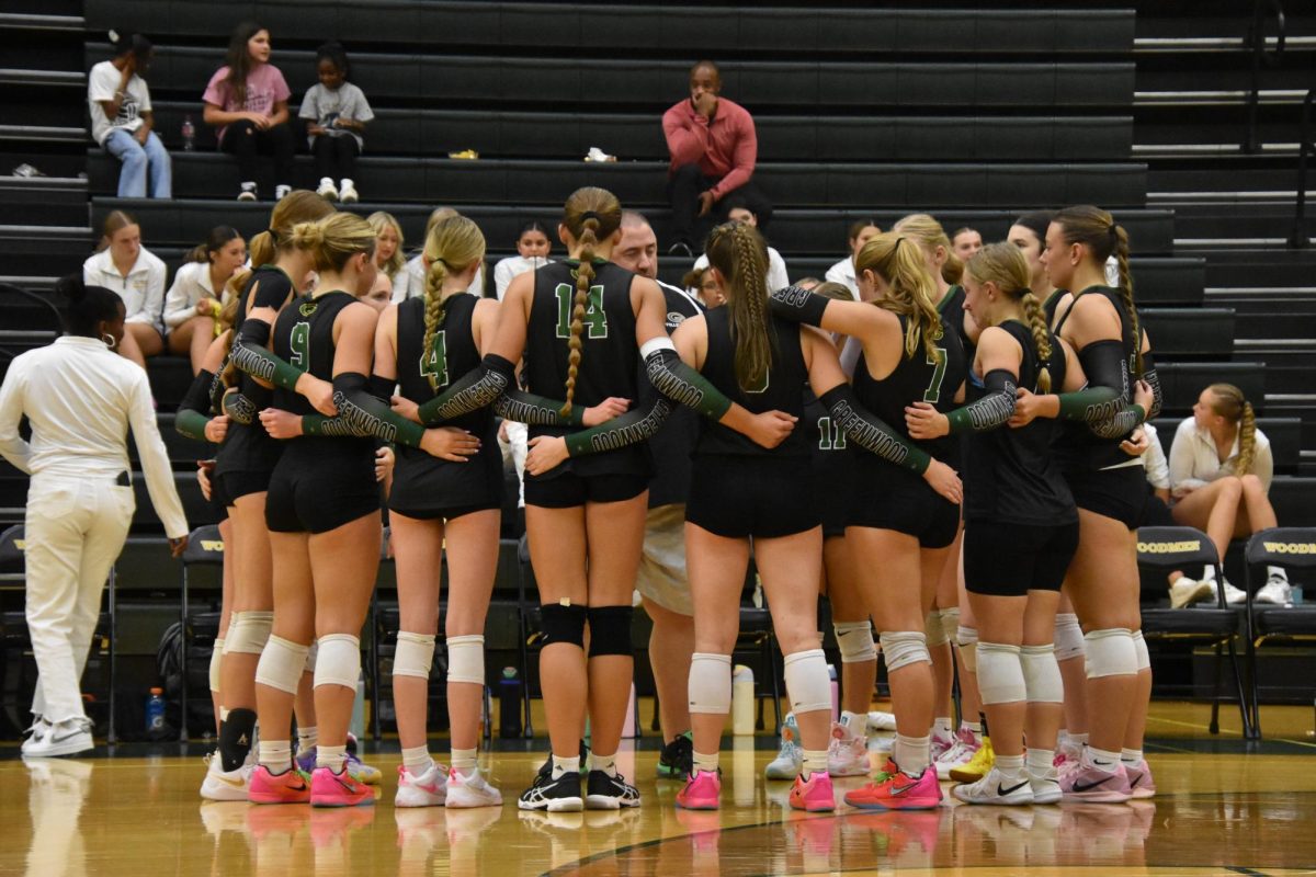 Volleyball vs. Martinsville