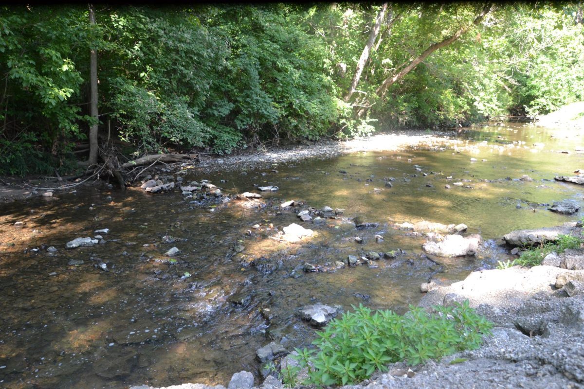 Public lands becoming private