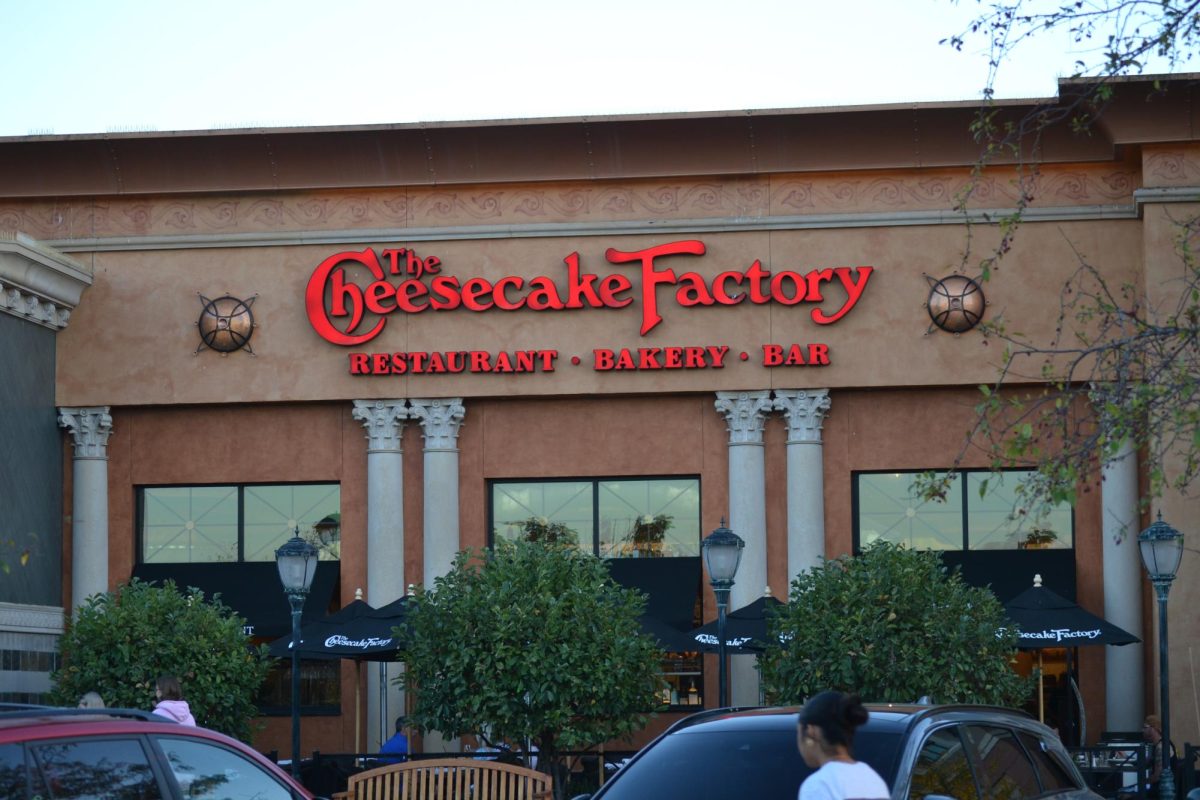 Fall in love with fall cheesecake