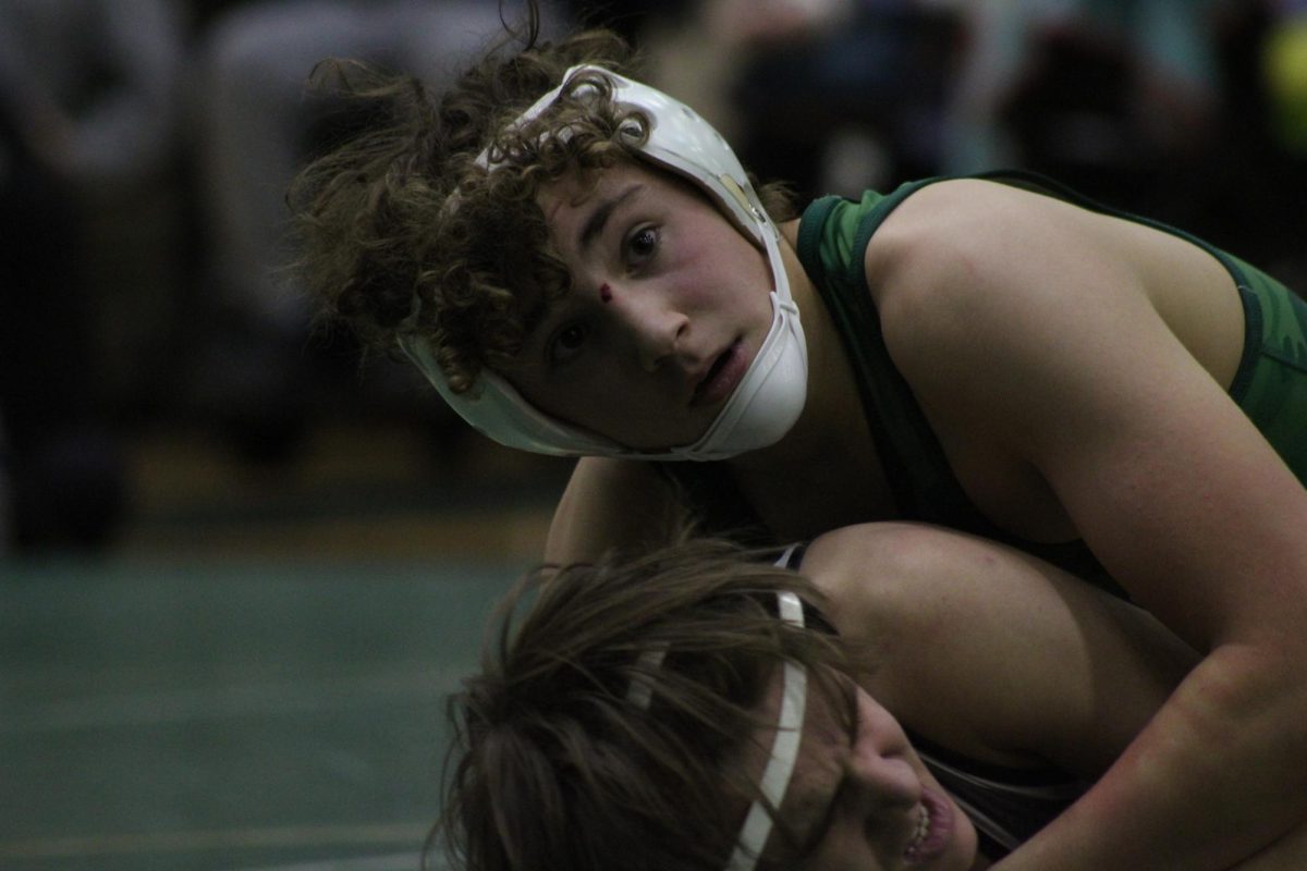 Boys wrestling heads to Sectionals