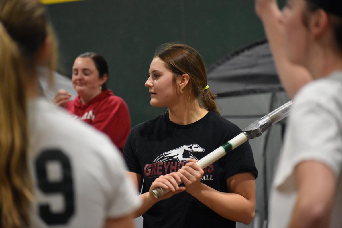 Softball season preview